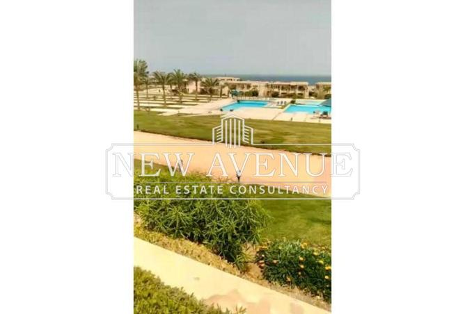 65162093 - صورة العقار 2