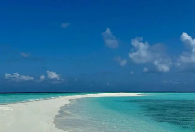 112978573 - صورة العقار 3