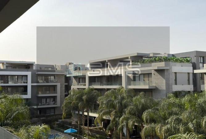 8646033 - Property Image 3