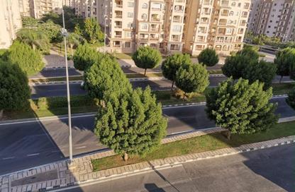 Apartment - 4 Bedrooms - 3 Bathrooms for sale in B1 - Madinaty - Cairo Apartment - 4 Bedrooms - 3 Bathrooms for sale in B1 - Madinaty - Cairo