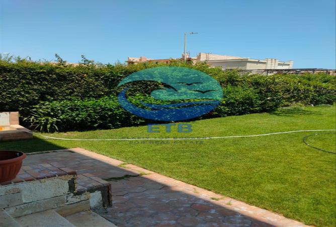 59502260 - صورة العقار 3