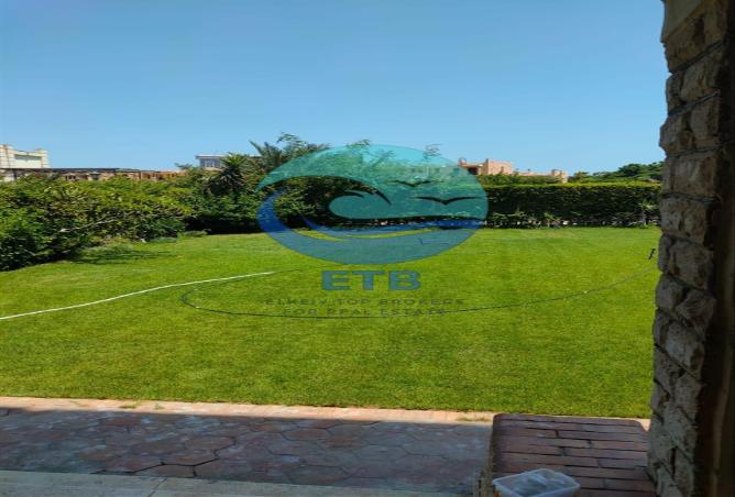 59502260 - الصورة الرئيسية للعقار