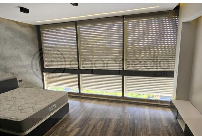 74305991 - Property Image 3
