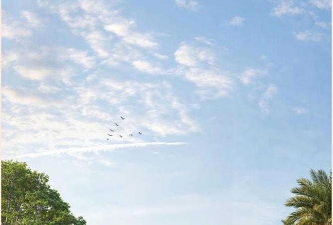 68529001 - صورة العقار 3