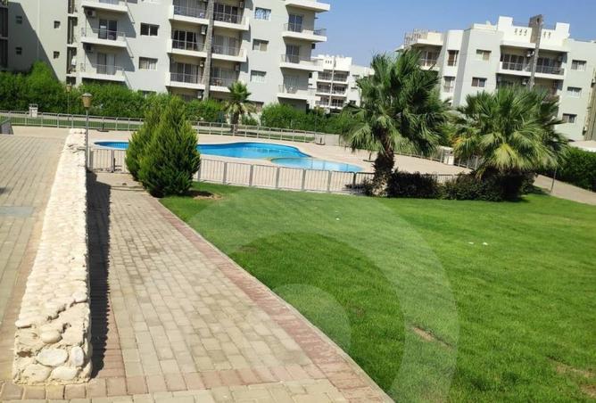 105728874 - Property Image 3