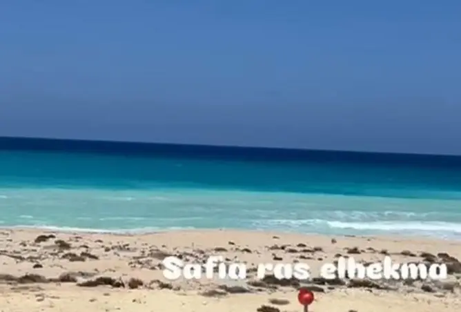 117267654 - صورة العقار 2