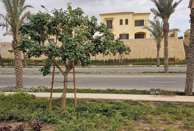 55501546 - صورة العقار 3