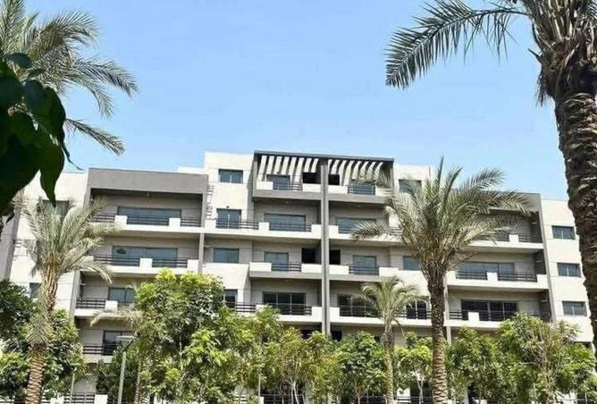 68267802 - Property Image 2