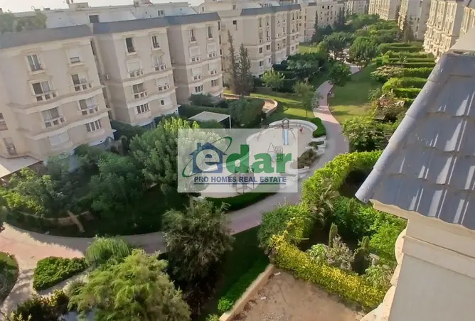 114899862 - Property Image 3