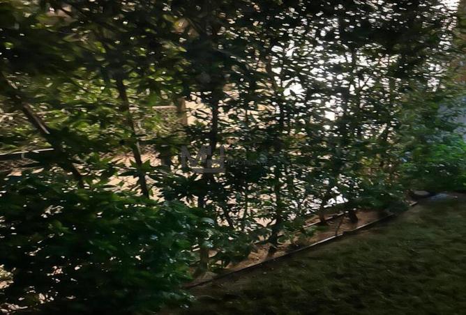 98274973 - صورة العقار 2