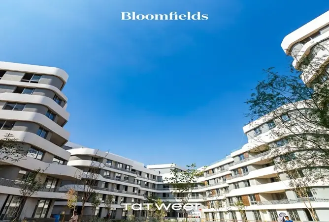 97442757 - Property Image 2