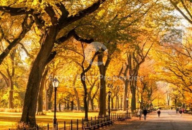 8567892 - الصورة الرئيسية للعقار