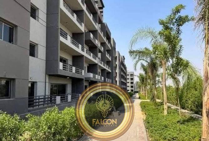 55753036 - Property Image 3