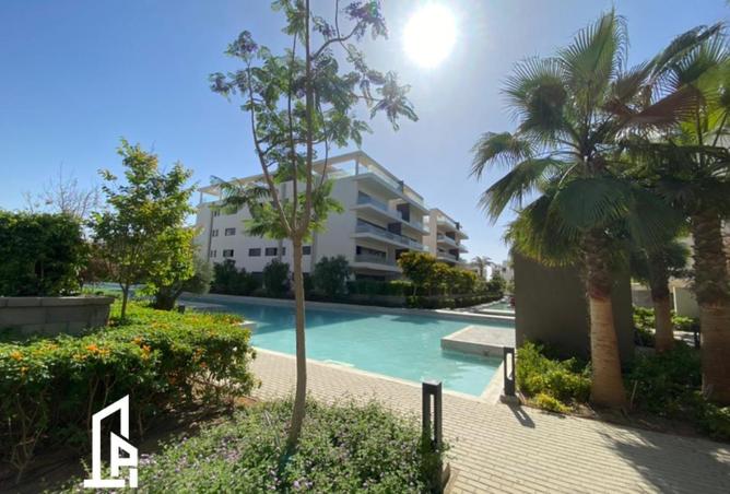 54487513 - Property Image 3