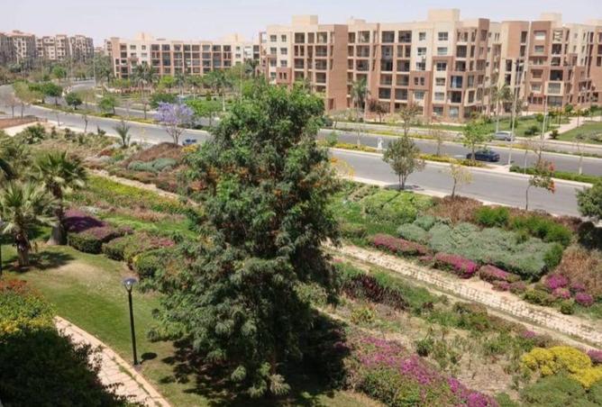 71646320 - الصورة الرئيسية للعقار