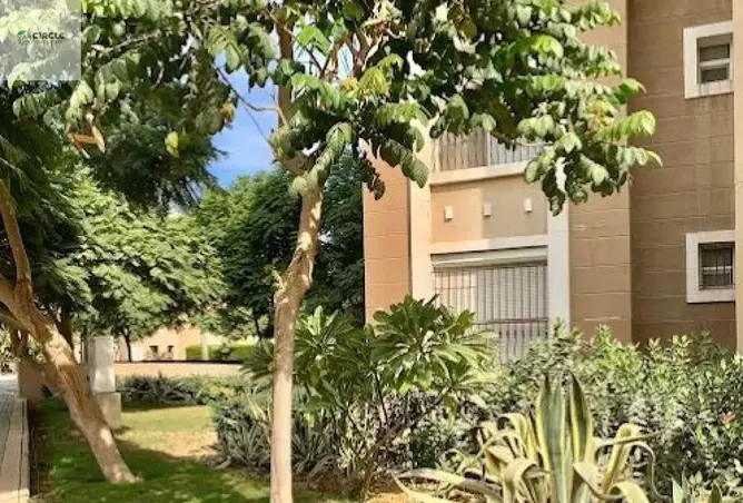 117521534 - صورة العقار 3