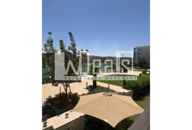 52197573 - صورة العقار 3