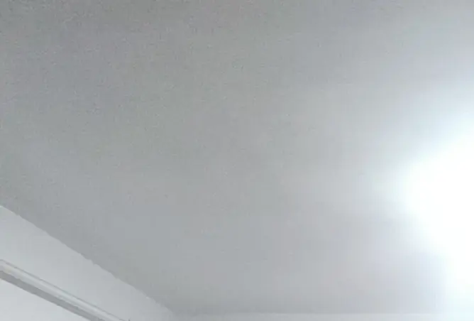 97726934 - Property Image 2