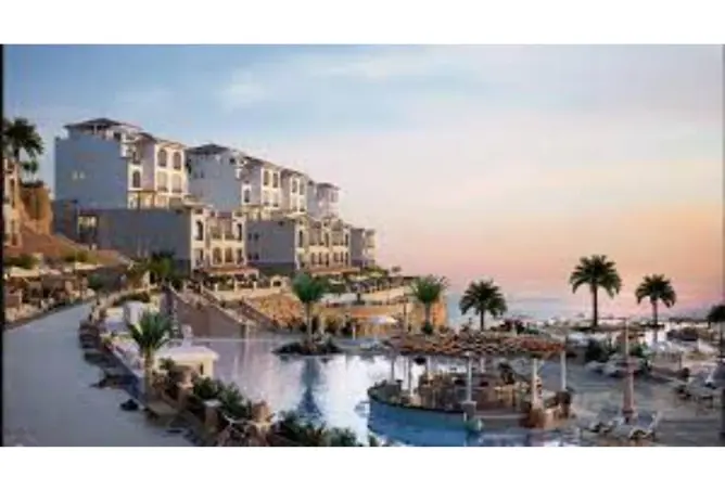 74041763 - Property Image 3