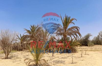قطعة أرض - استوديو للبيع في افق - طريق مصر اسكندرية الصحراوي - مدينة 6 أكتوبر - الجيزة