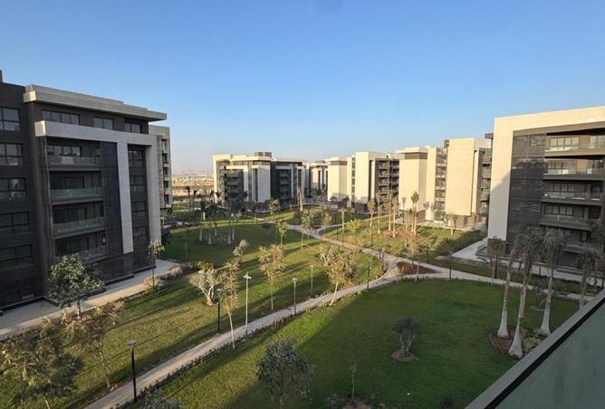 95202731 - صورة العقار 2