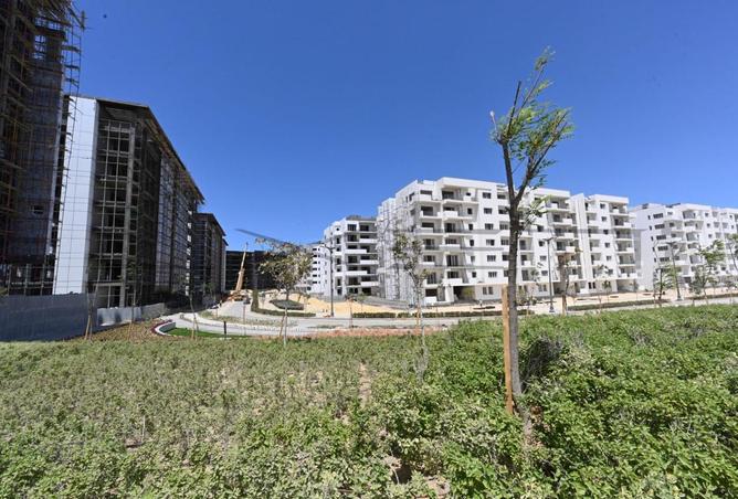 66436744 - Property Main Image