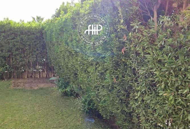 67741055 - Property Image 2