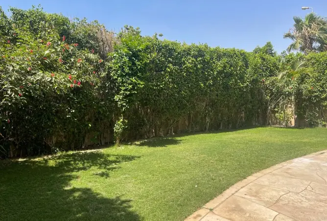 113251610 - Property Image 3