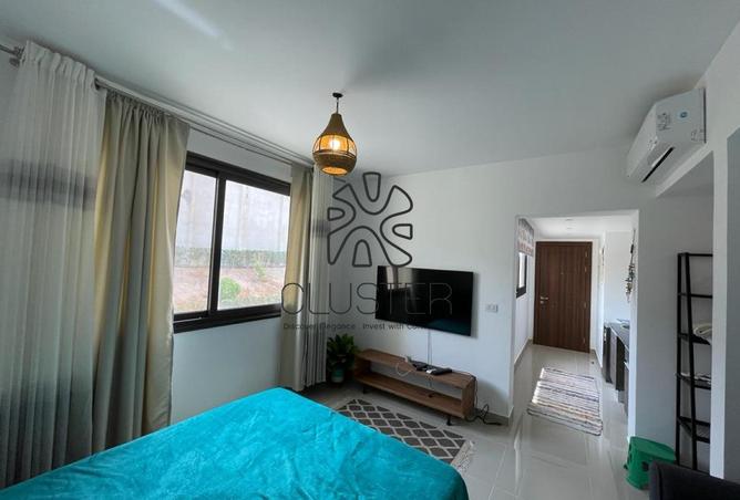 64642560 - صورة العقار 3