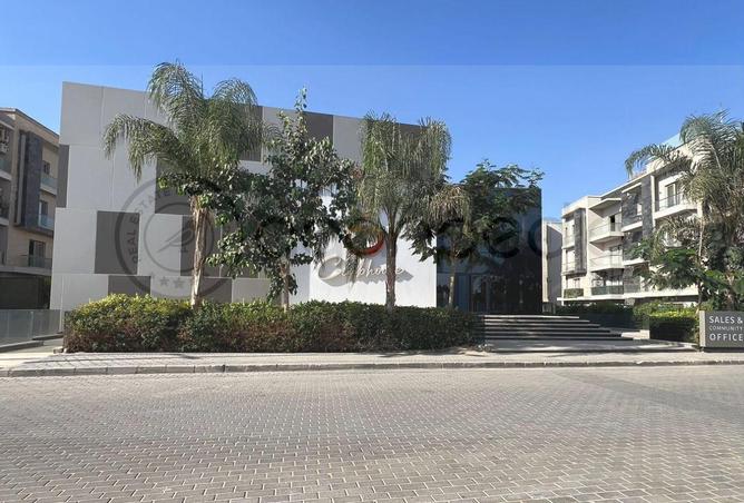 56500067 - Property Image 3