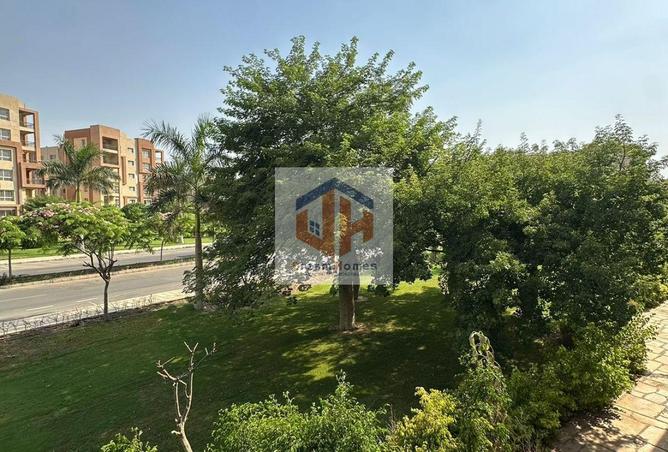 65667123 - صورة العقار 3