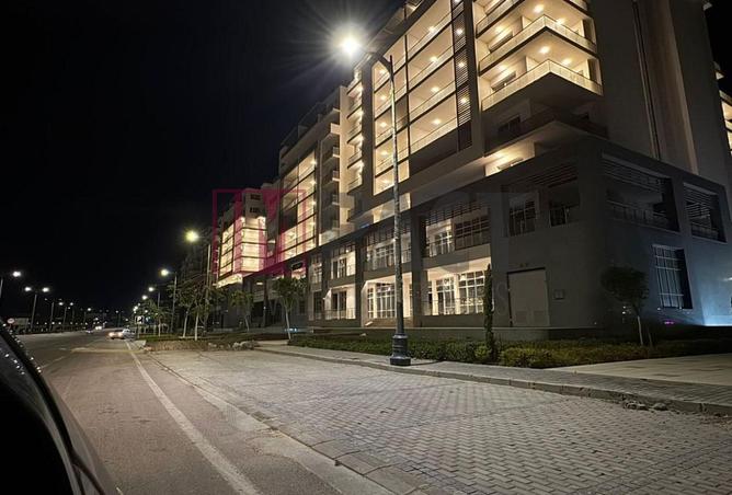 58741591 - صورة العقار 3