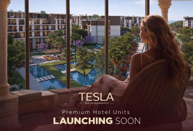 57490028 - Property Image 2