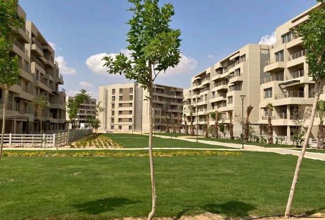 79711058 - Property Image 2