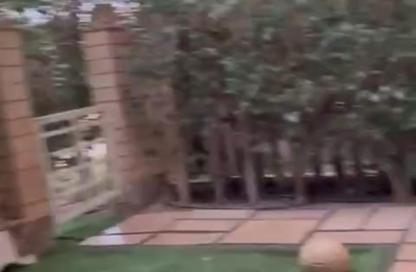 Apartment - 2 Bedrooms - 1 Bathroom for rent in Madinaty - Cairo Apartment - 2 Bedrooms - 1 Bathroom for rent in Madinaty - Cairo