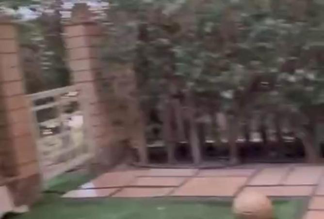 82093208 - الصورة الرئيسية للعقار