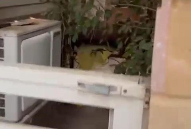 82093208 - صورة العقار 2