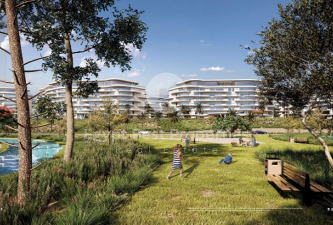 58253290 - صورة العقار 2