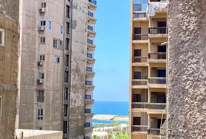 87839684 - صورة العقار 2