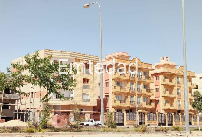 59646708 - صورة العقار 3