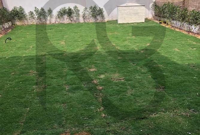 7767552 - صورة العقار 2