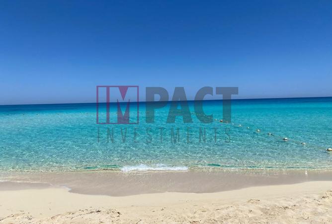 66170803 - صورة العقار 3