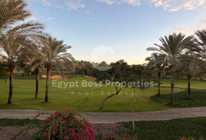 87947213 - صورة العقار 3