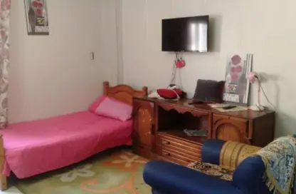 Apartment - 1 Bedroom - 1 Bathroom for rent in 11th District - Sheikh Zayed City - Giza