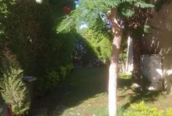 8701904 - صورة العقار 2