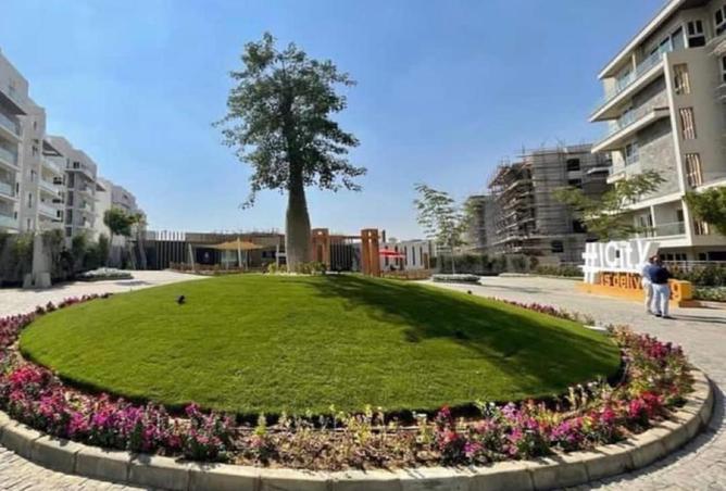 70089455 - صورة العقار 3