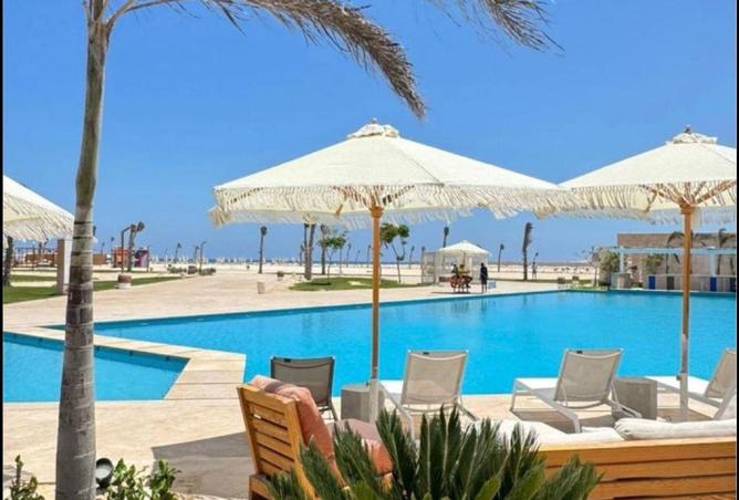 8651307 - Property Image 3