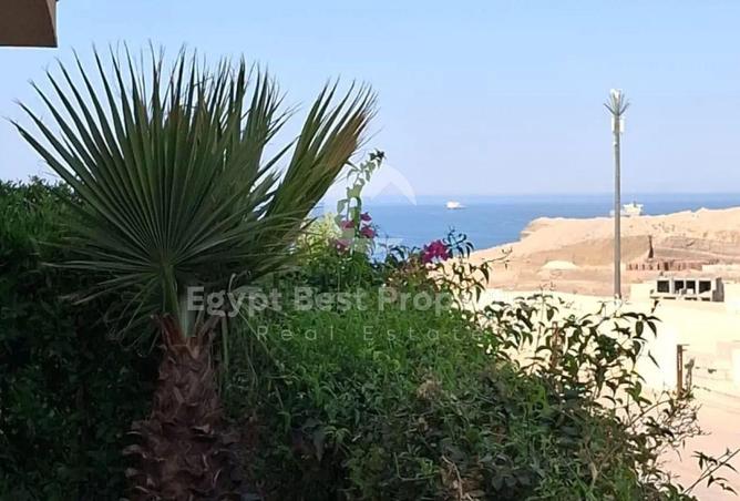 96045593 - Property Image 2