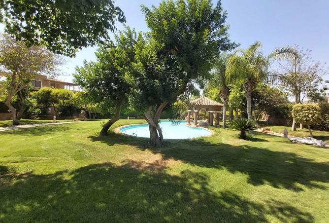 70099270 - صورة العقار 2