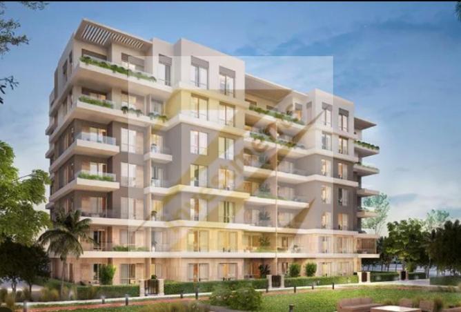 8555941 - Property Image 3